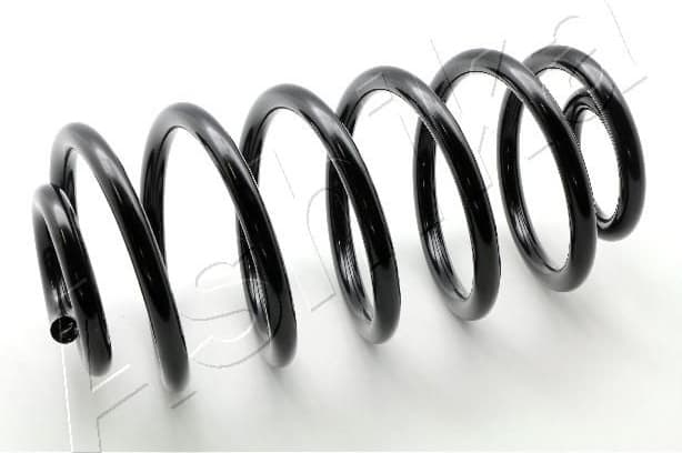 Suspension Spring ZCA6648X