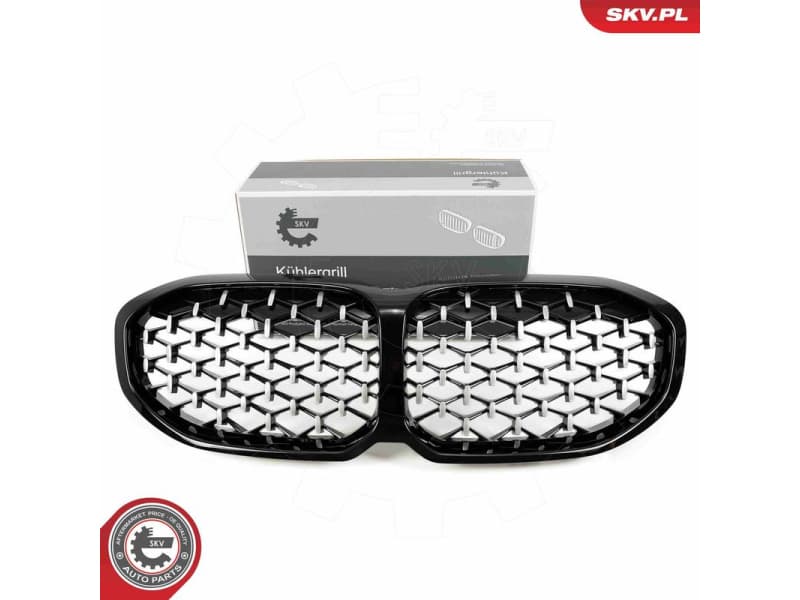 Radiator Grille 66SKV028