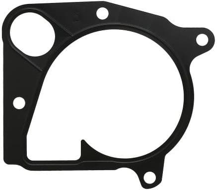 Gasket water pump 362.281
