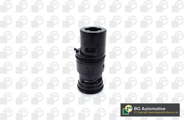 Thermostat, coolant CT0924