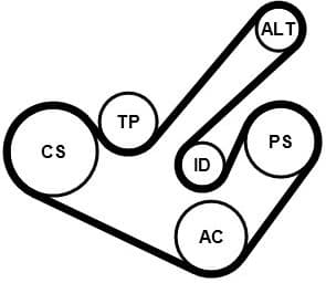 V-ribbed Belt Set 6PK1555K9