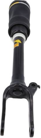 Air Suspension Strut 2070082