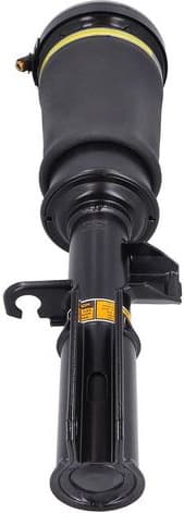 Air Suspension Strut 2070062