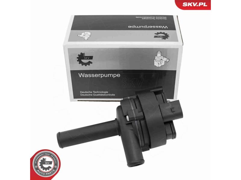 Auxiliary Water Pump (cooling water circuit) 22SKV077