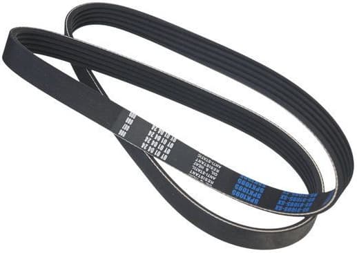 V-ribbed Belt 05-01095-SX