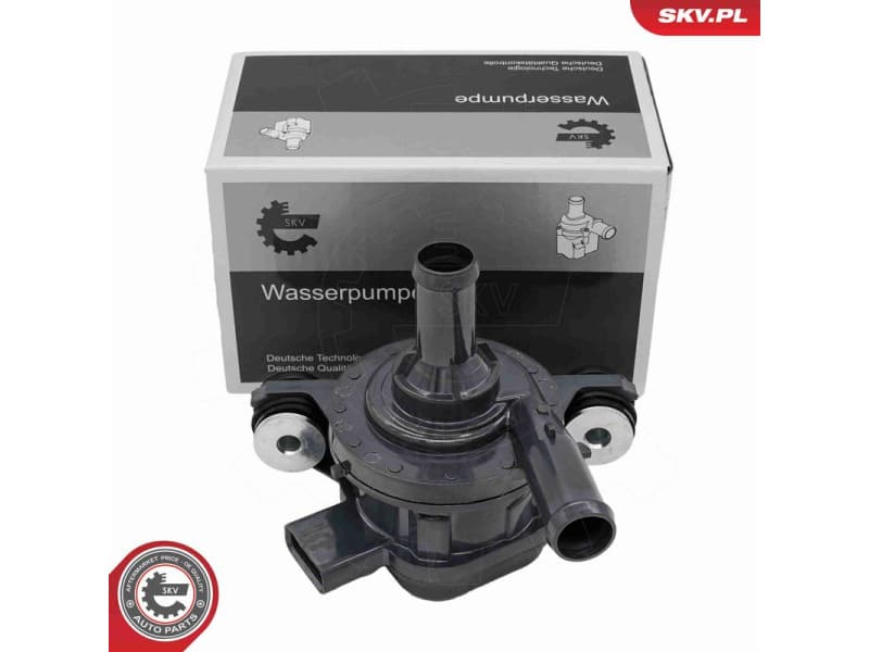 Auxiliary Water Pump (cooling water circuit) 22SKV081