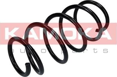 Coil spring 2110291