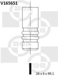 Valve exhaust V165651