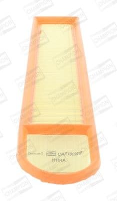 Air Filter CAF100921P