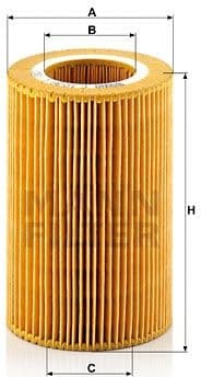 Air Filter C1036/1
