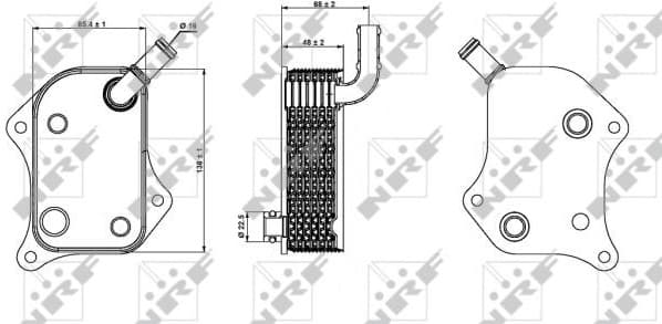 Oil Cooler, engine oil 31237