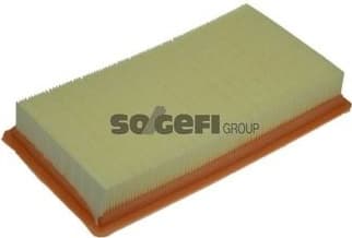Air Filter A1230