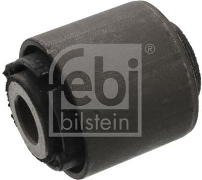 Mounting, control/trailing arm 100454