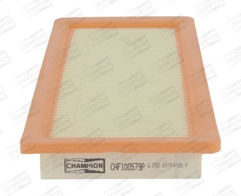 Air Filter CAF100579P