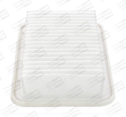 Air Filter CAF100813P