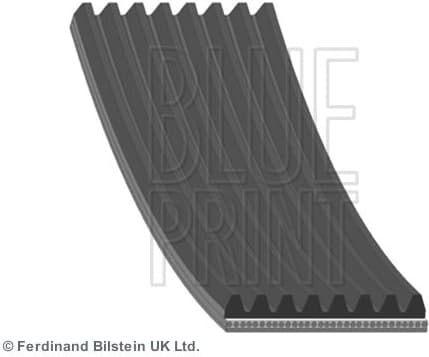 V-ribbed Belt AD08R1173