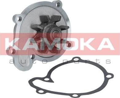 Water Pump, engine cooling T0217