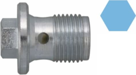 Screw Plug, oil sump 220069H