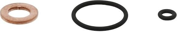 Injector heat seal 883.700