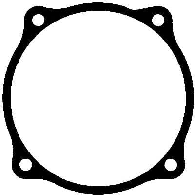 Gasket, timing case cover 490.381