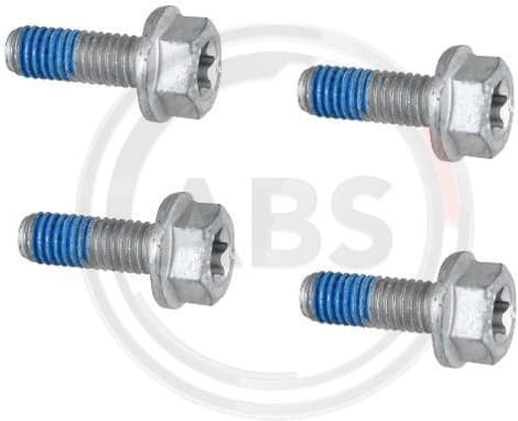 Accessory Kit, disc brake pad 2010Q