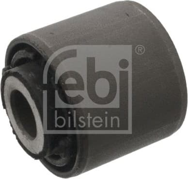 Mounting, control/trailing arm 170093