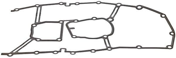 Gasket, timing case 919.899