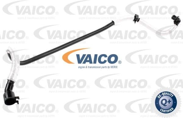 Vacuum Hose, braking system Original VAICO Quality V103636