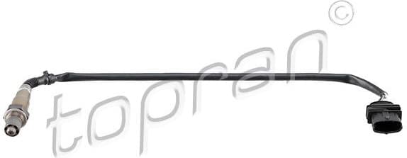 Oxygen Sensor 206 194