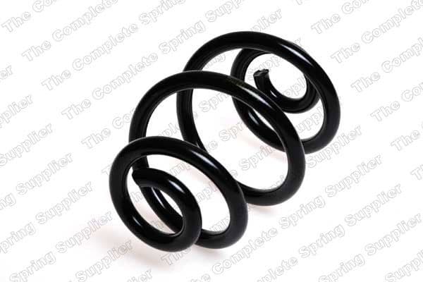 Suspension Spring 4208431