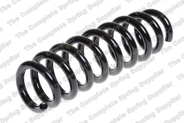 Suspension Spring 4208464