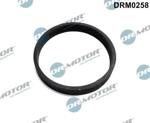 Seal, turbine inlet (charger) DRM0258