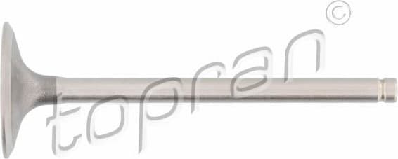 Intake Valve 700 655